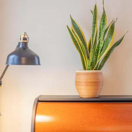 Elegance On The Hill - 800m To Downtown *