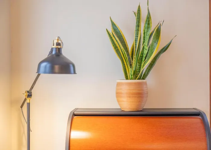 Elegance On The Hill - 800m To Downtown *